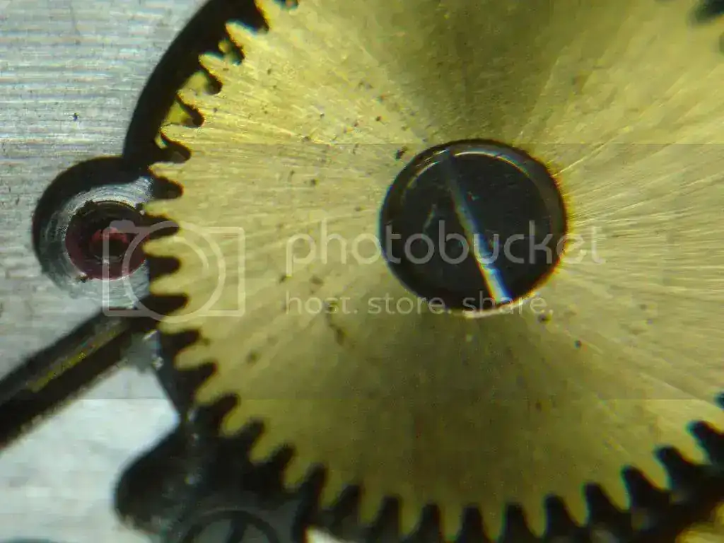 DSC00126_zps1f1ab2c0.webp