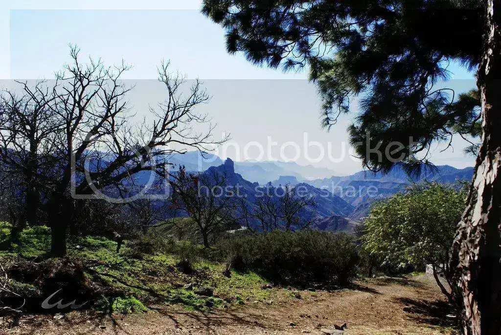 DSC00162_zps4732fe6a.webp