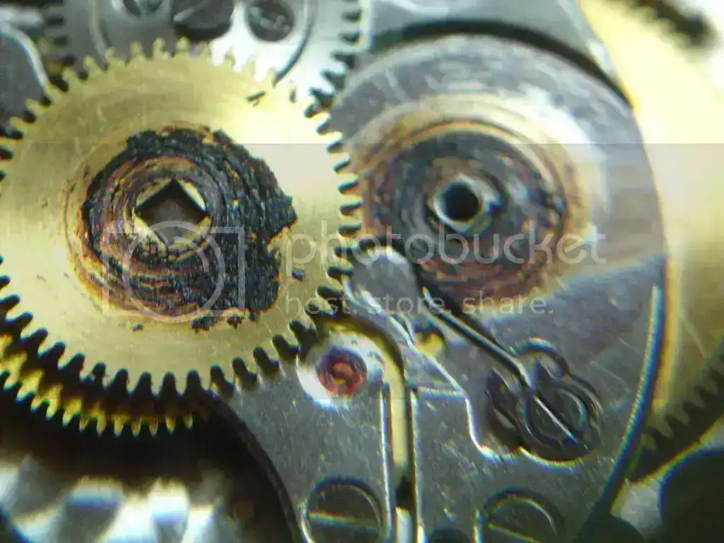 DSC00187_zps30e4a077.webp