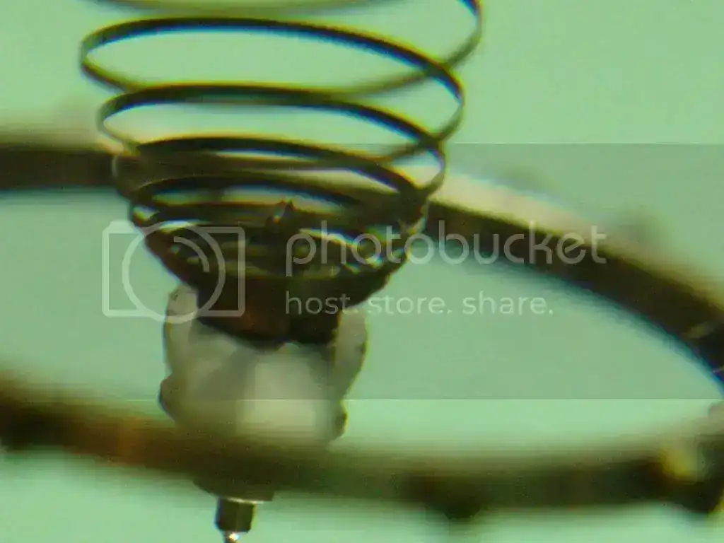 DSC00203_zps16eff819.webp