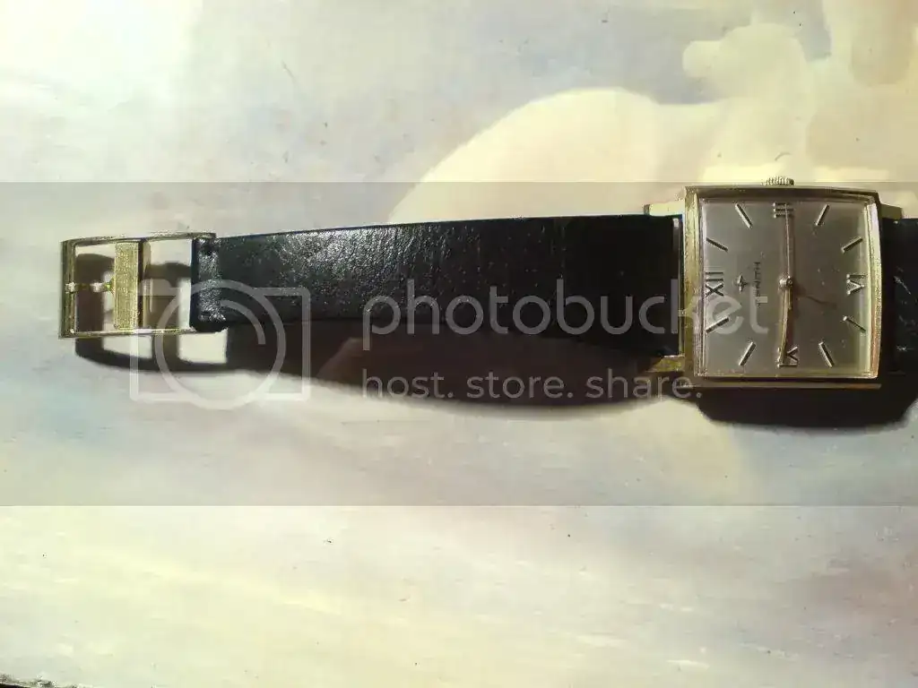 DSC00204.webp