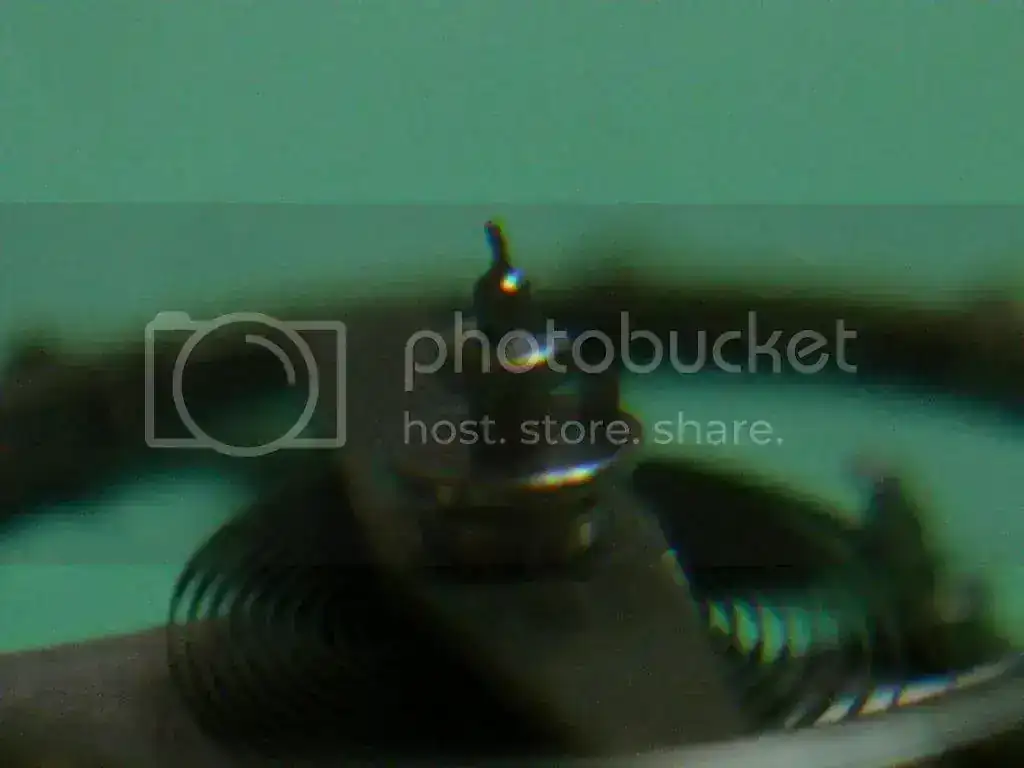 DSC00206_zps3608b614.webp