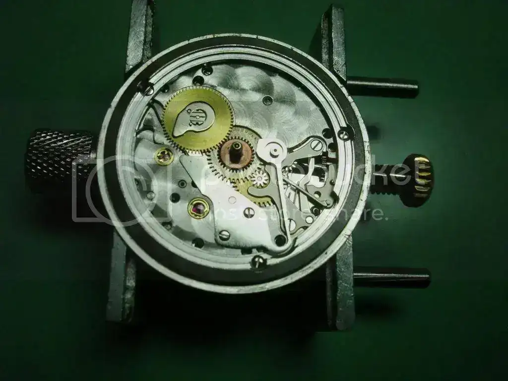 DSC00220_zps294faf5e.webp