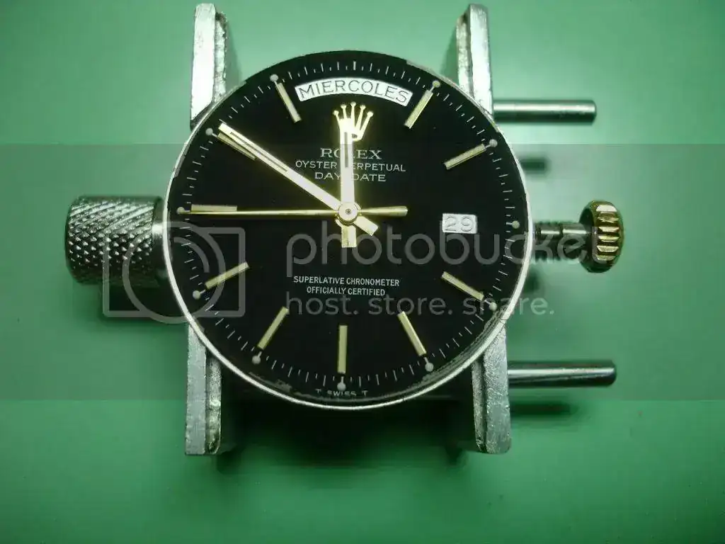DSC00224_zps24cd8209.webp