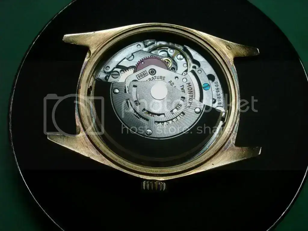 DSC00233_zps4652cf60.webp