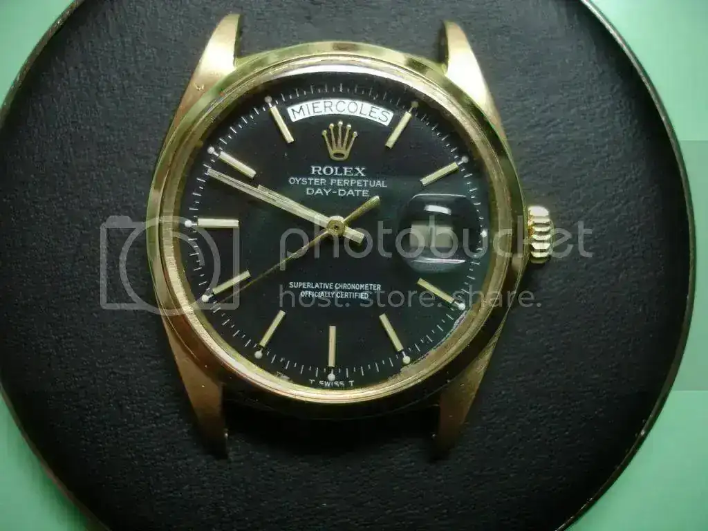 DSC00250_zps9eb1aaa8.webp