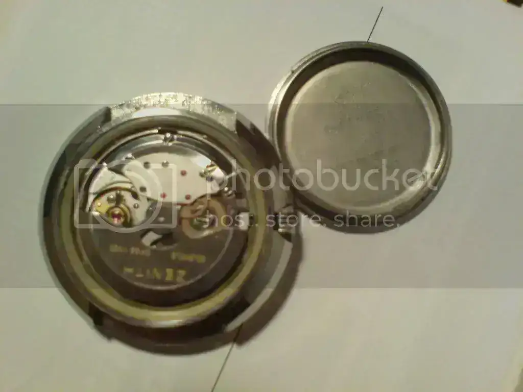 DSC00323.webp