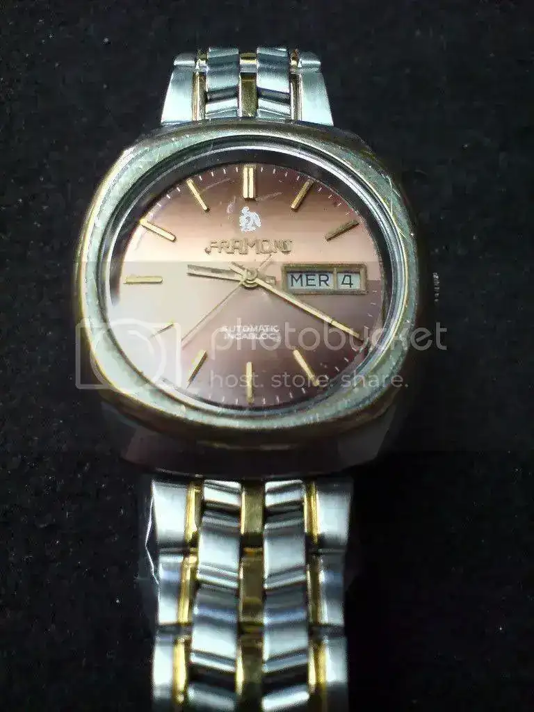 DSC00438.webp
