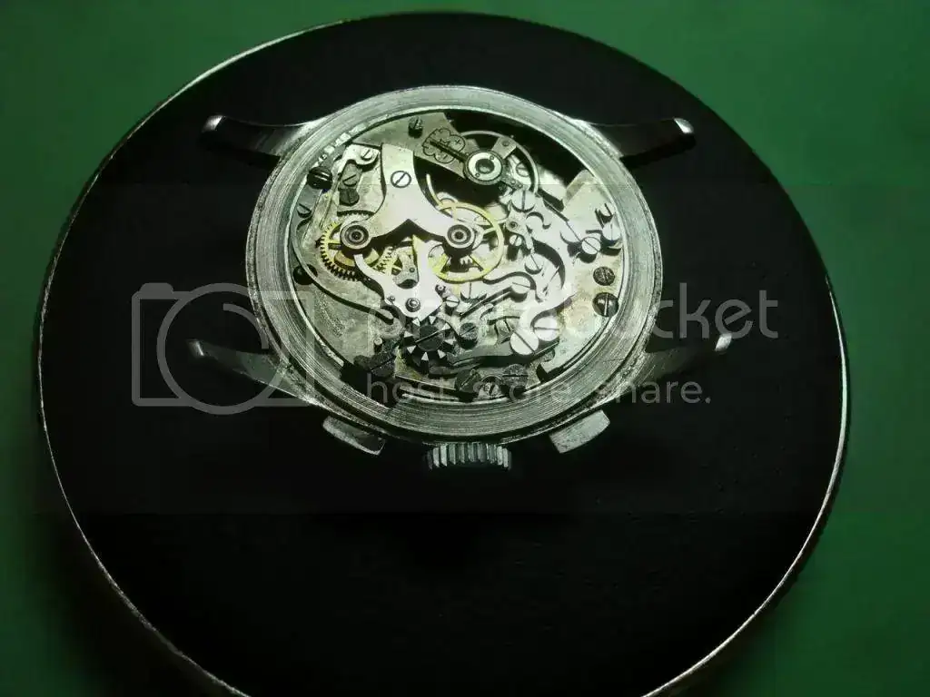 DSC00464_zps7d3dc044.webp