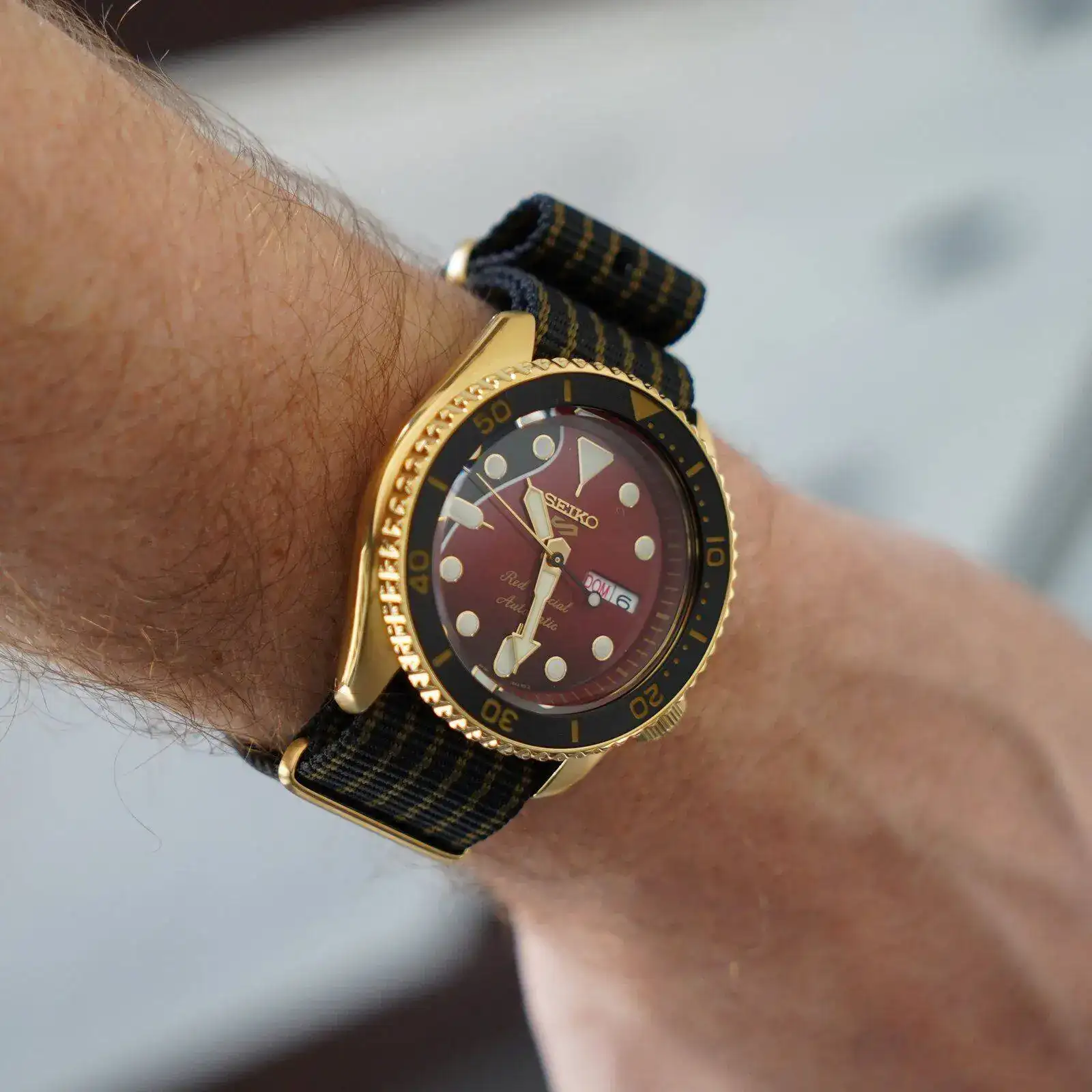 DSC00490.webp