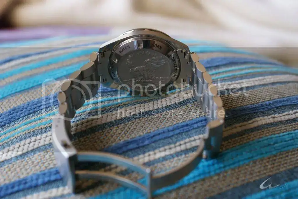 DSC00494_zpssh1slnns.webp