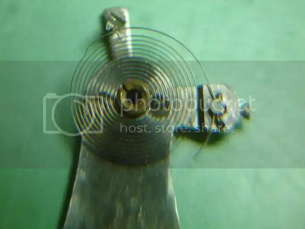 DSC00498_zpscec2fdd6.webp
