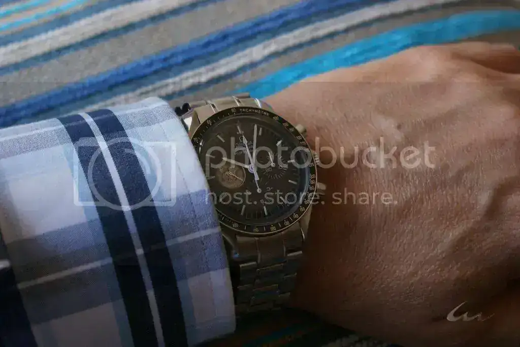 DSC00503_zps5f25c3ae.webp