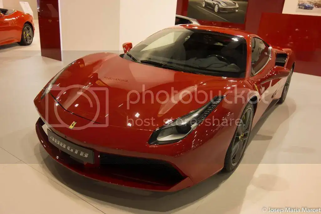 DSC00795_zpsjkrryrki.webp