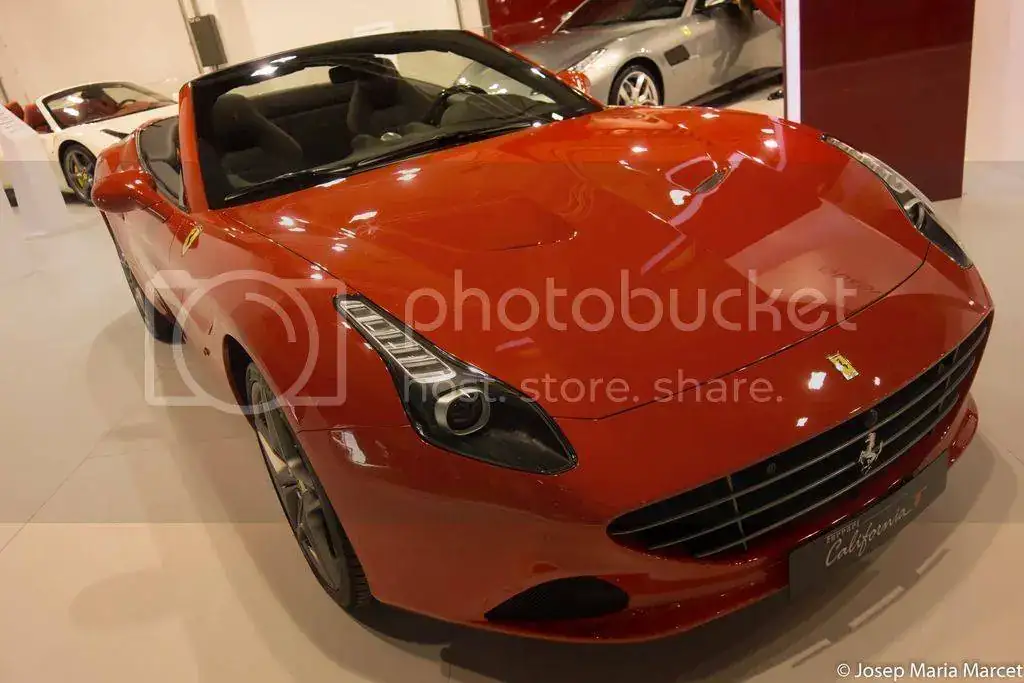DSC00797_zpskwaeqqeb.webp