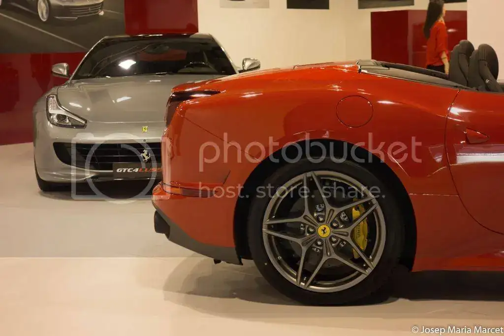DSC00798_zpsdaupbgvp.webp