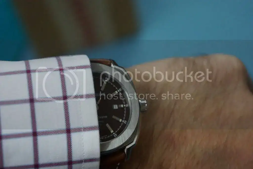 DSC00803_zpskfbrv799.webp