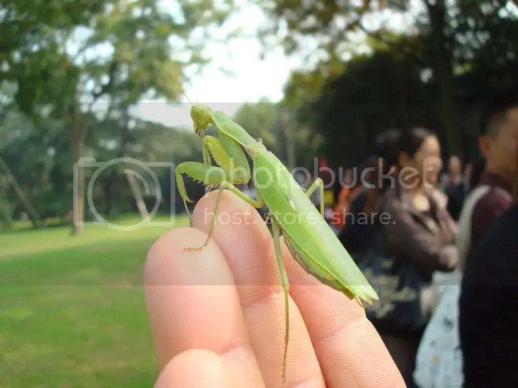 DSC01142_zpscpduhlap.webp