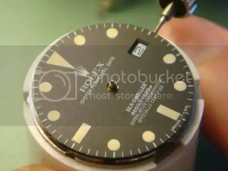 DSC01252.webp