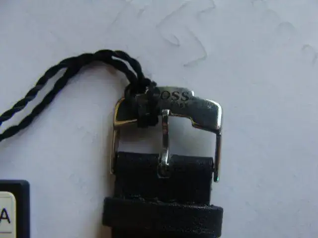 DSC01256.webp