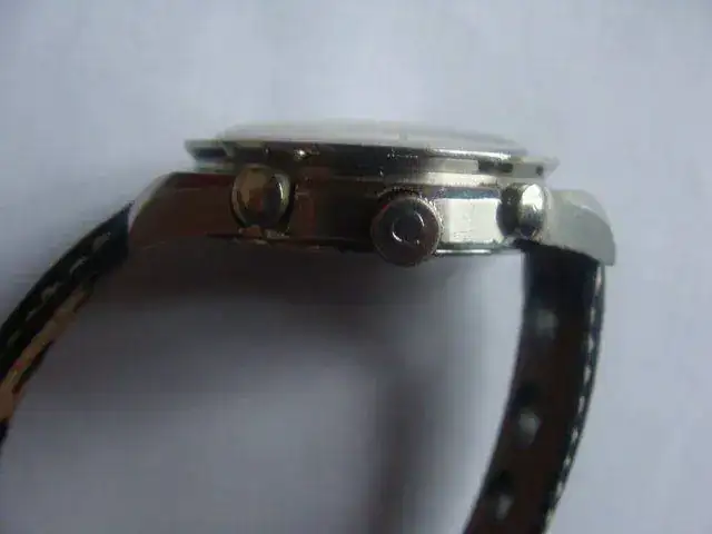 DSC01290.webp