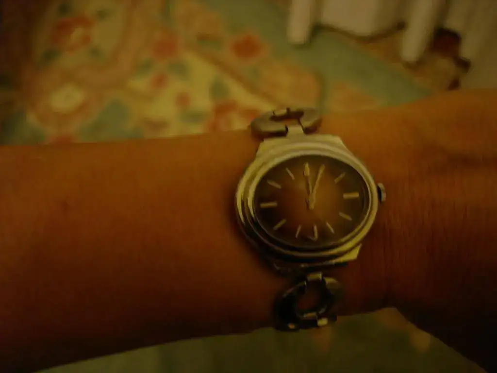 DSC01363.webp