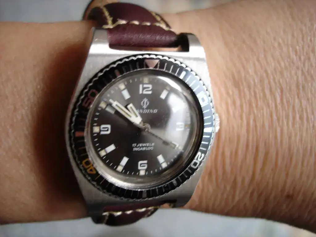 DSC01437.webp