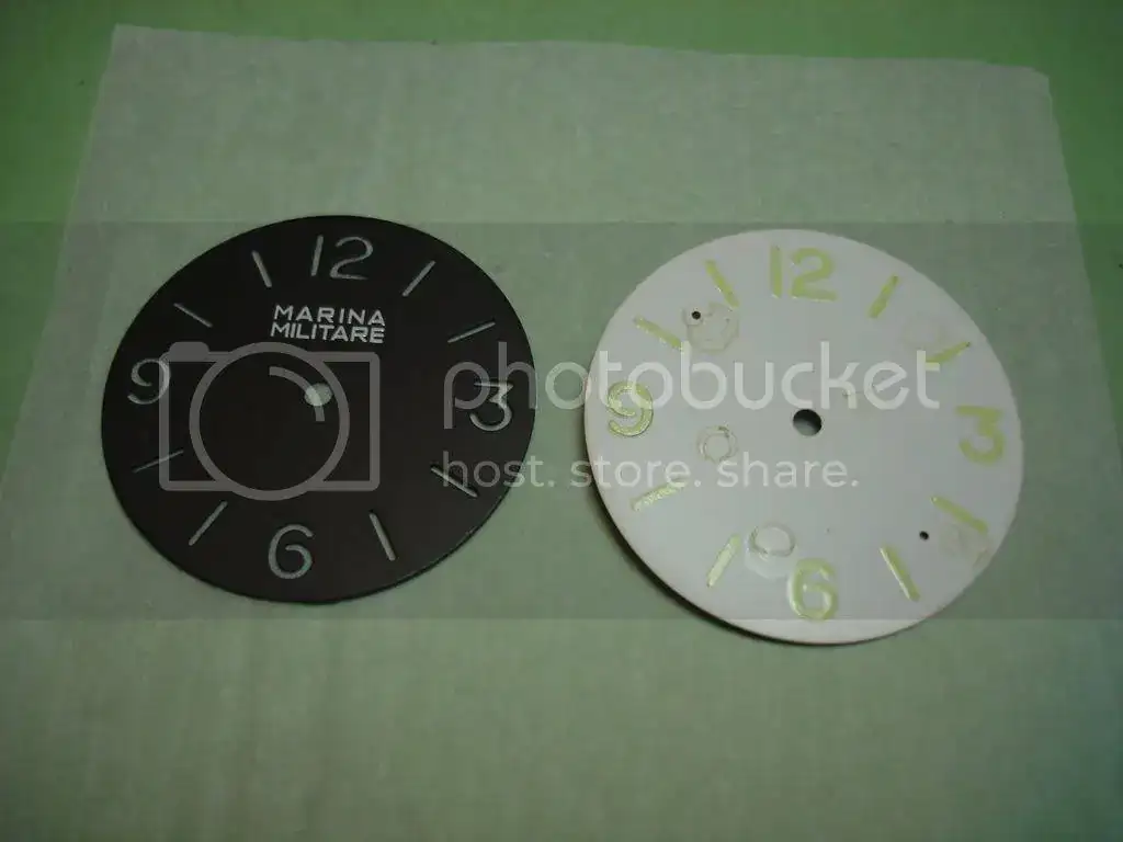 DSC01483.webp