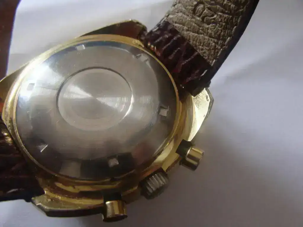 DSC01532.webp