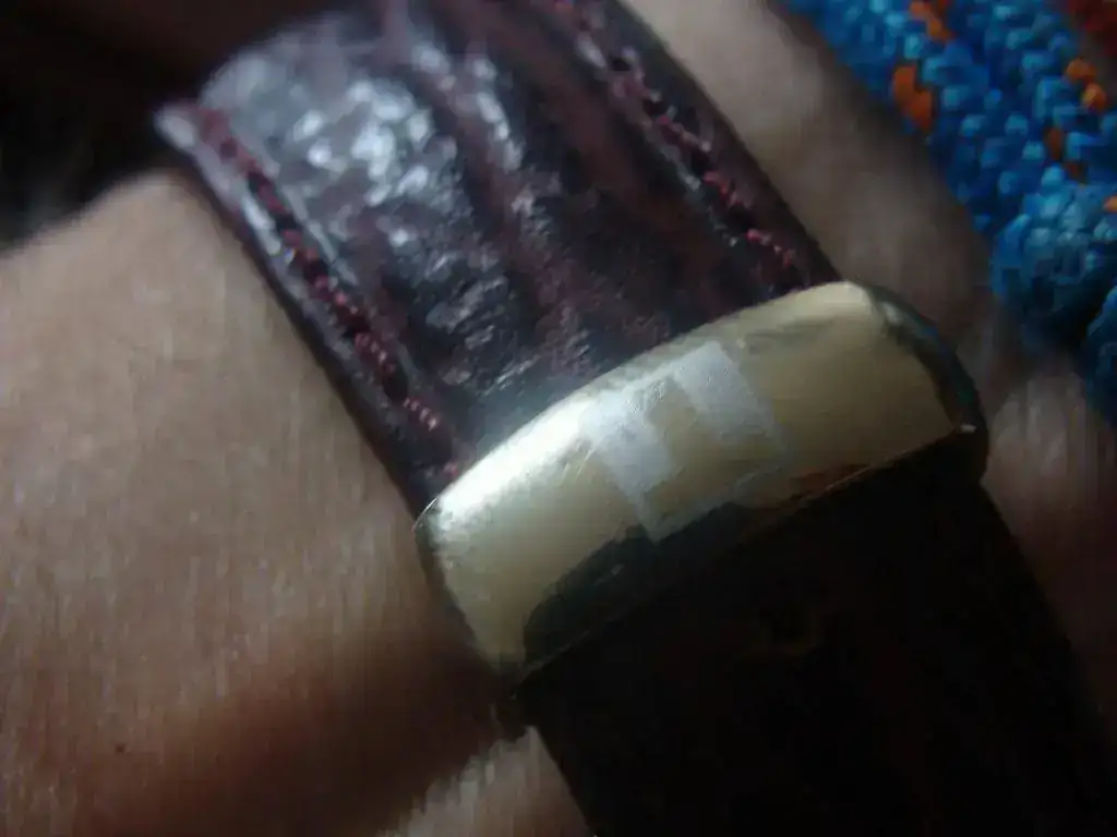 DSC01533.webp