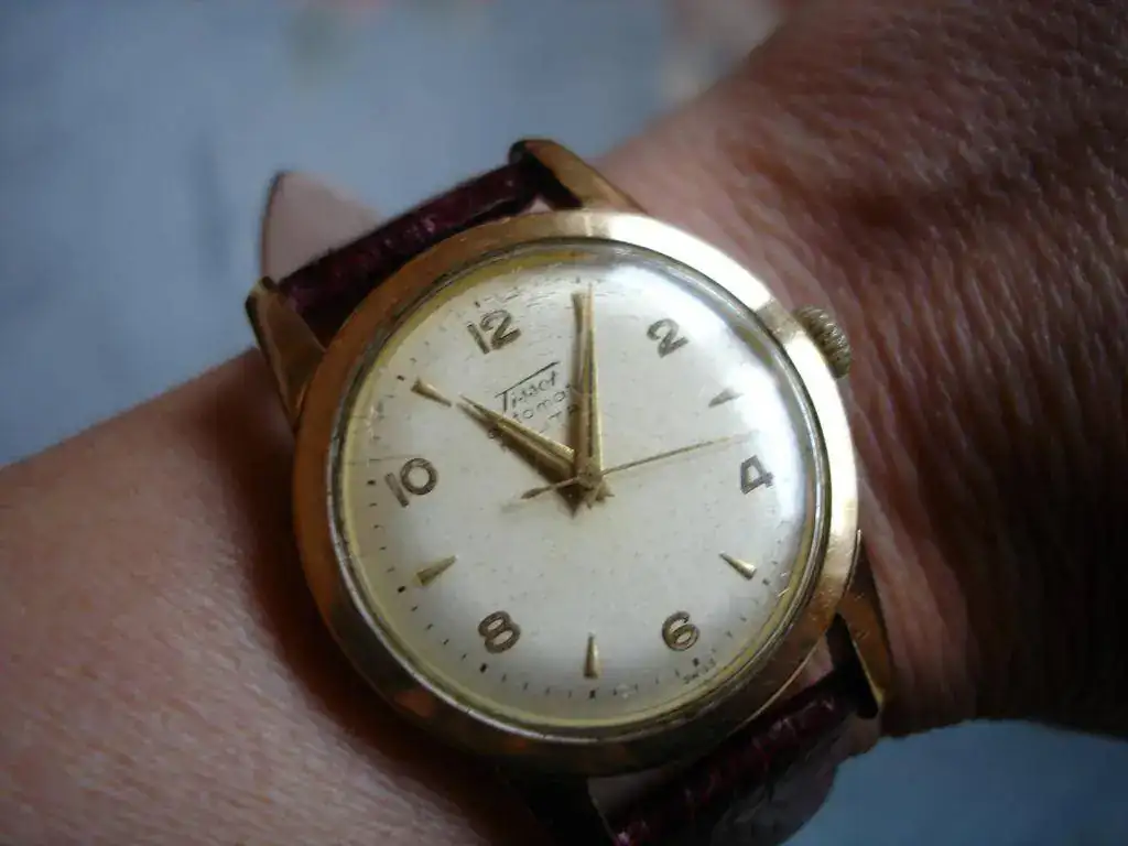 DSC01567.webp