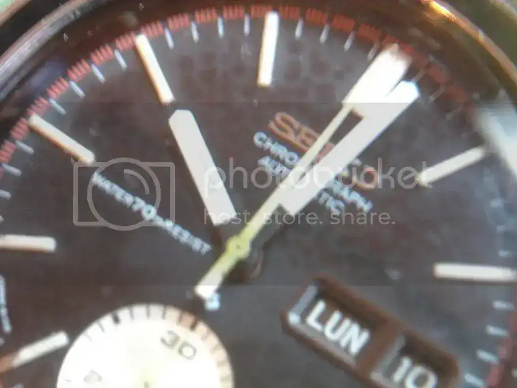 DSC01608_zps21138ef5.webp
