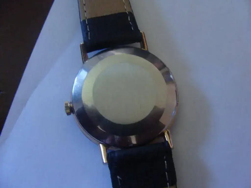 DSC01615.webp