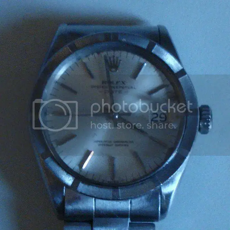 DSC01678-1.webp