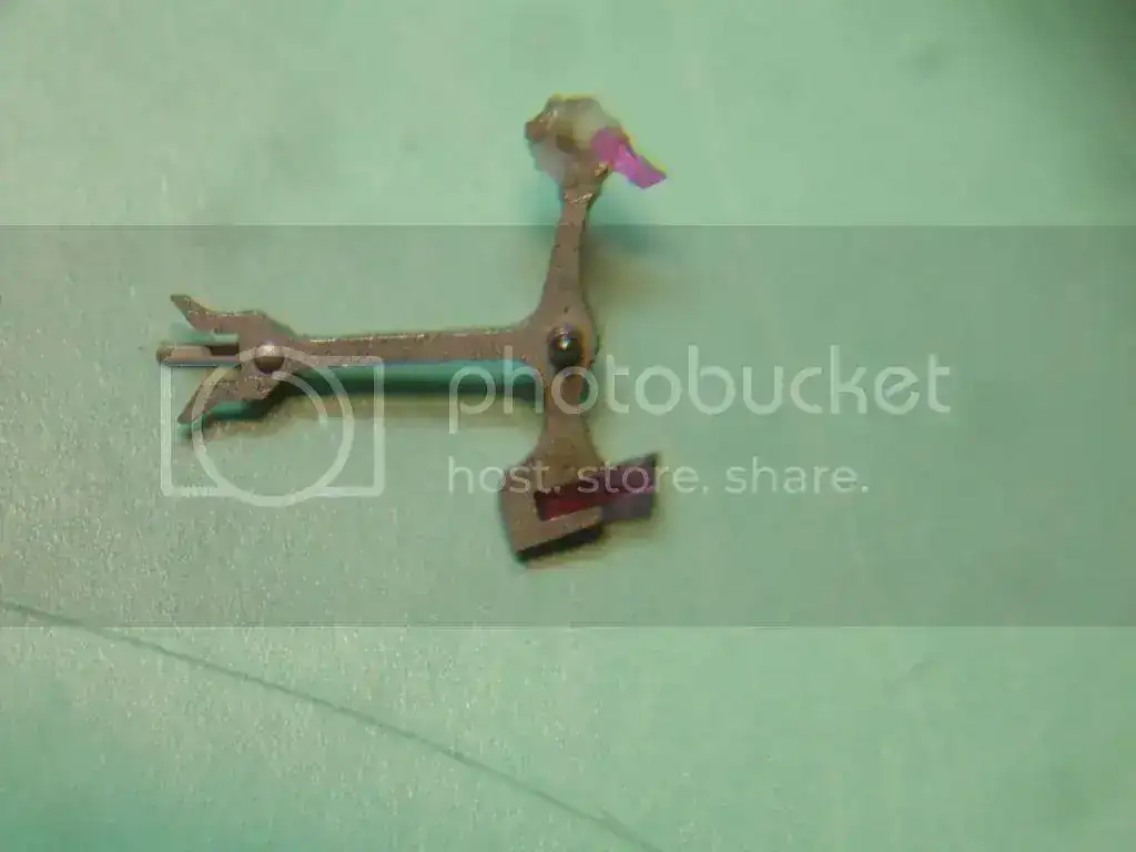 DSC01721_zps3ff17301.webp