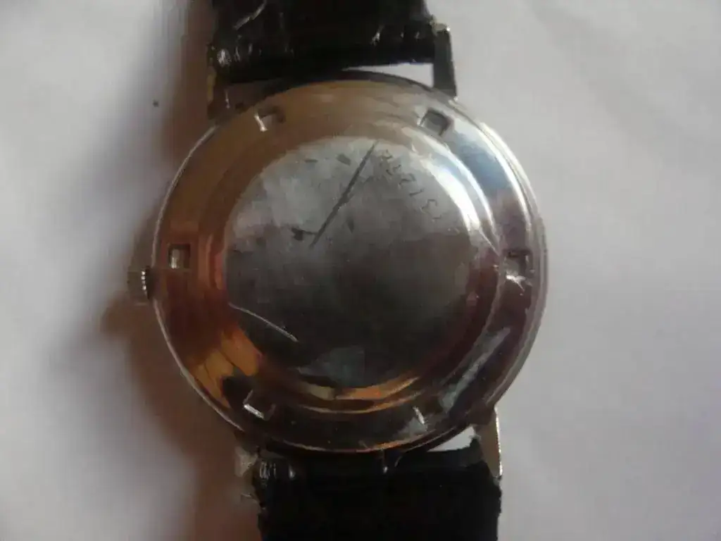 DSC02161.webp