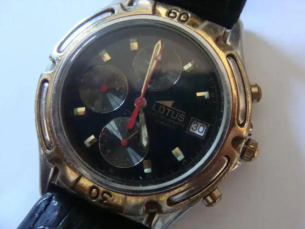 DSC02204.webp