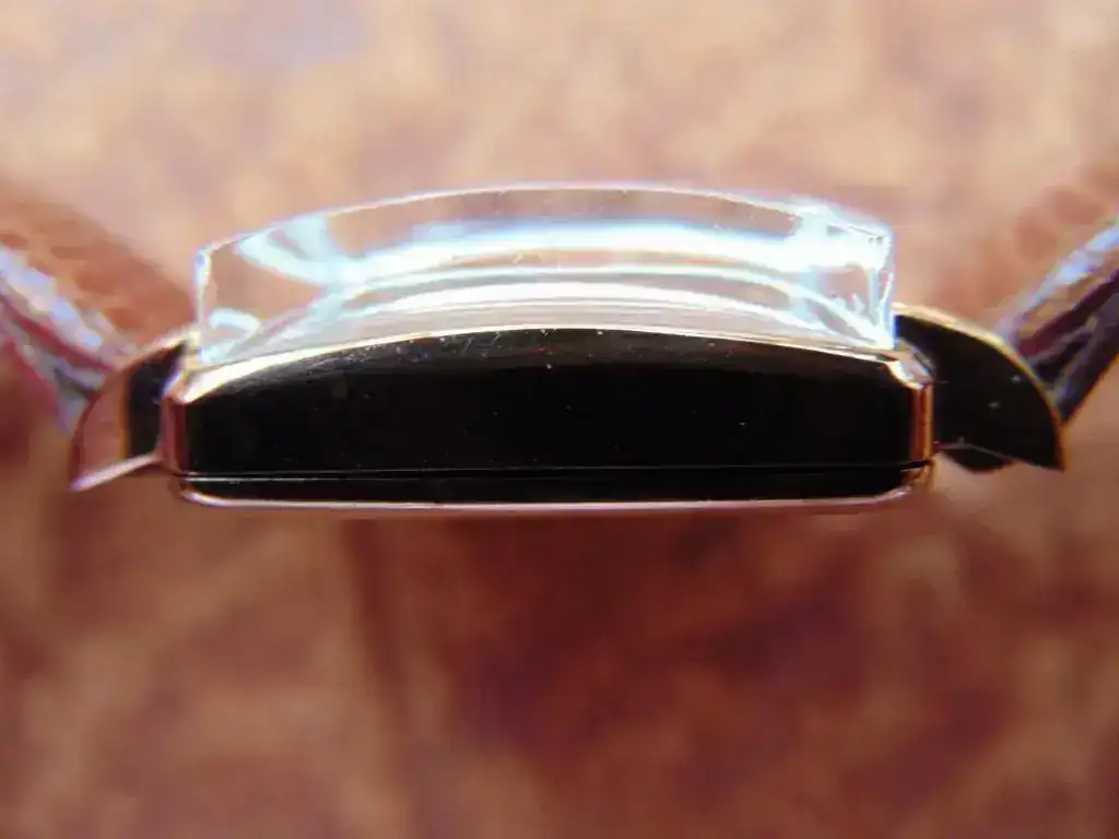 DSC02208.webp