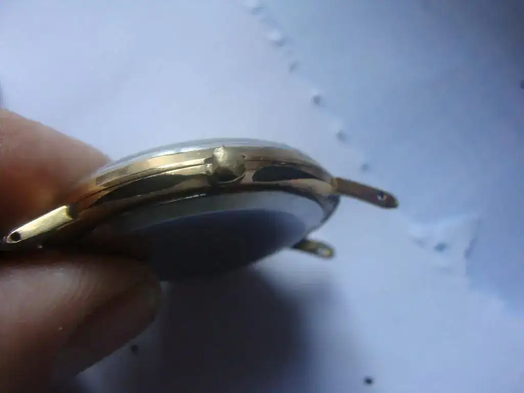 DSC02259.webp