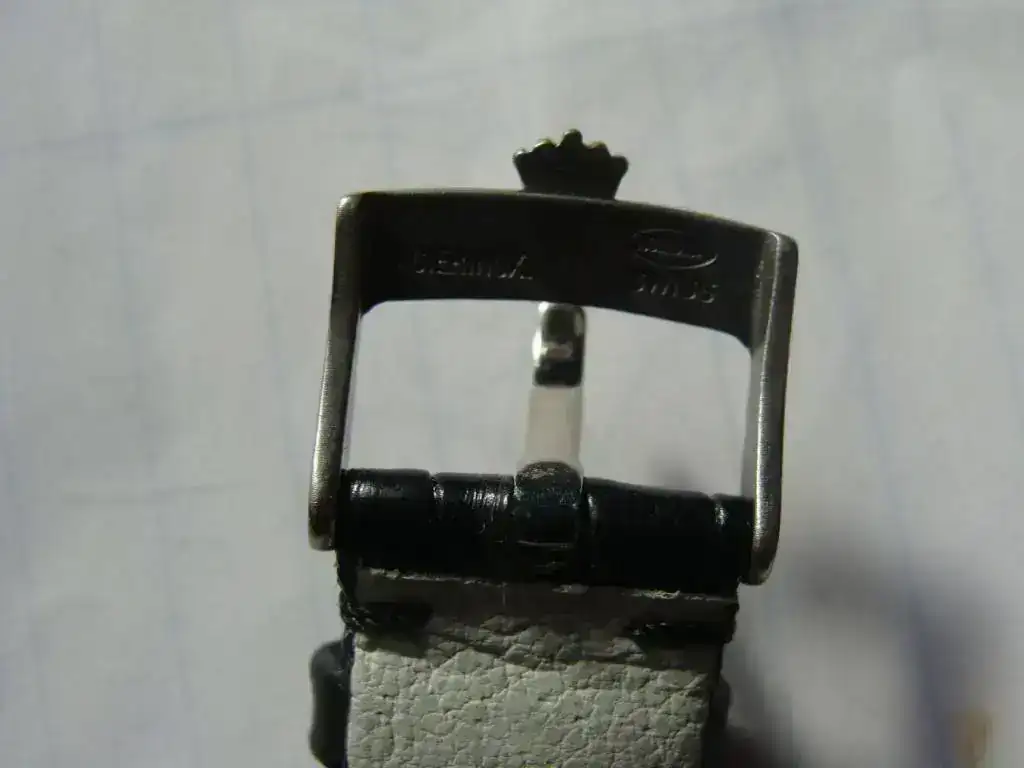 DSC02342.webp