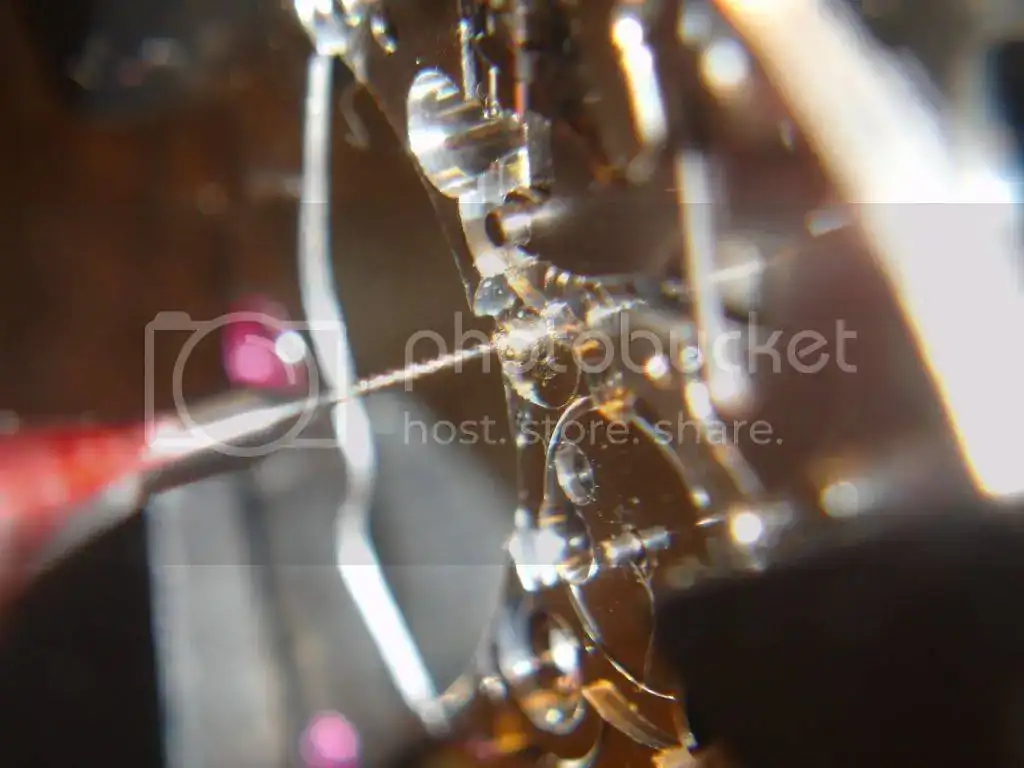 DSC02364.webp