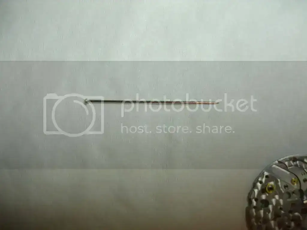 DSC02474.webp
