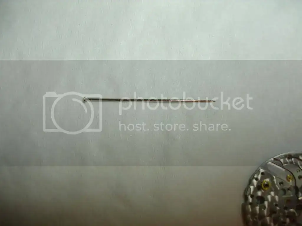 DSC02474.webp