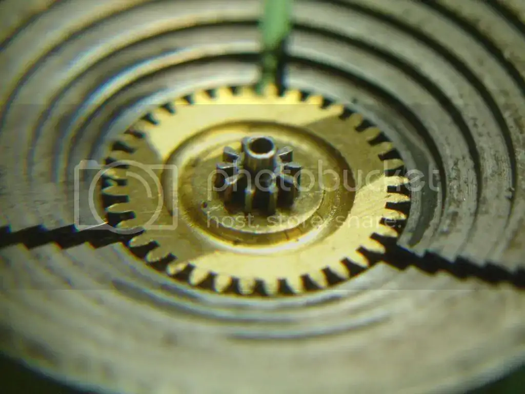 DSC02489_zps3c09e7f7.webp