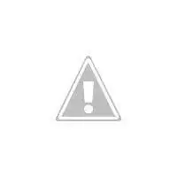 DSC02494.webp