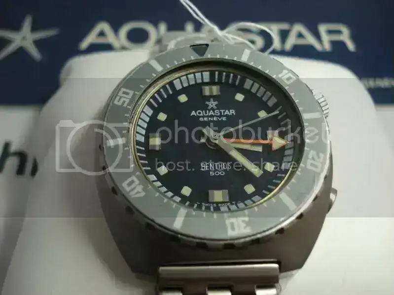 DSC02527-1.webp