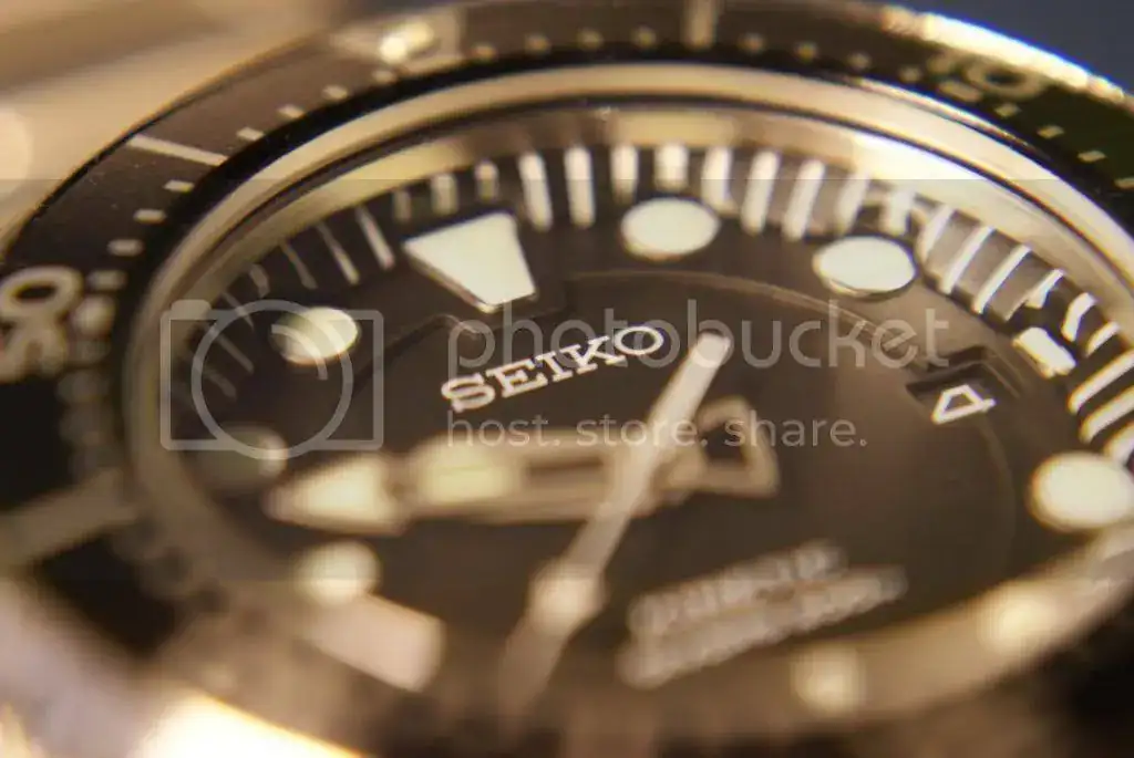 DSC02541_zpsb9dc9797.webp
