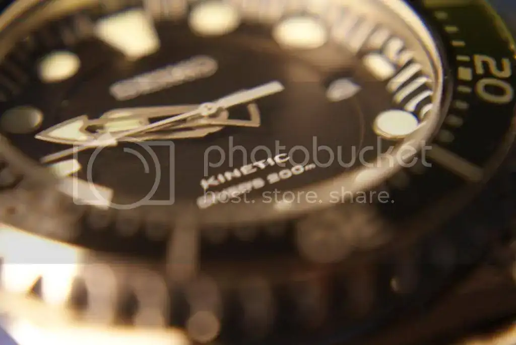 DSC02542_zps8b3d3e63.webp