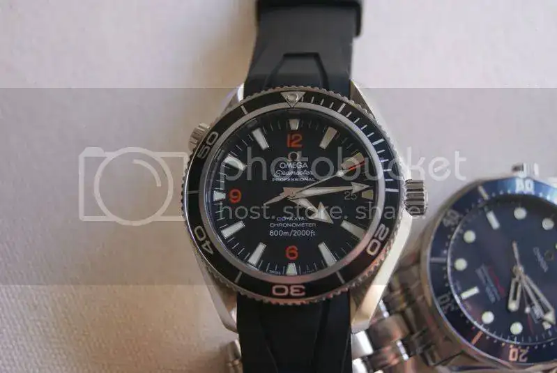 DSC02550.webp