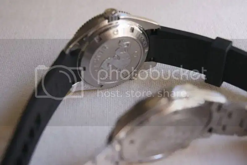 DSC02552.webp